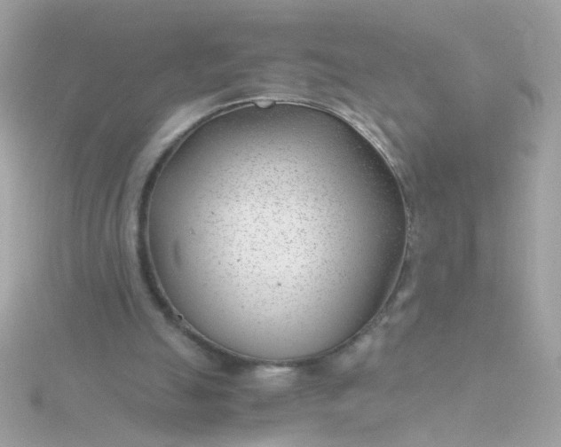 X0000115680055200911251800