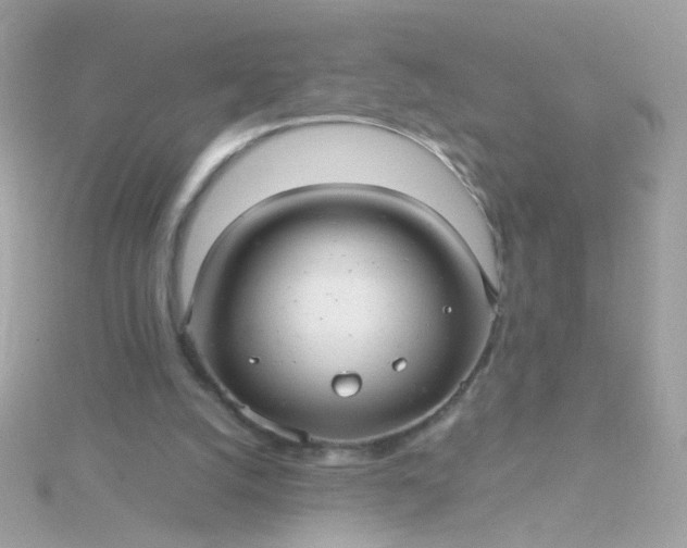 X0000115680056200911251800