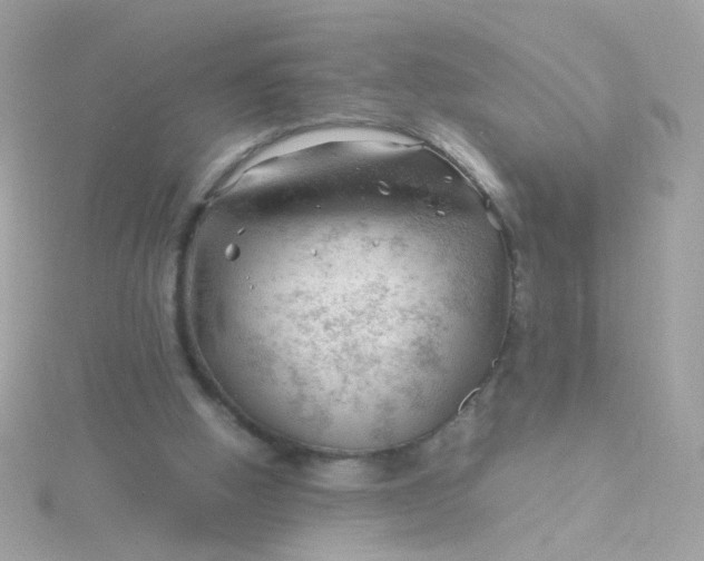 X0000115680058200911251800