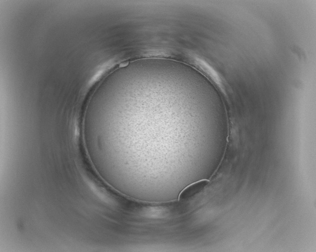 X0000115680059200911251800