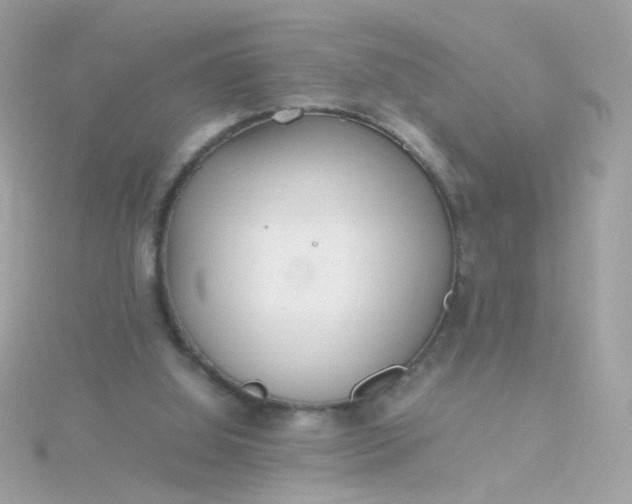 X0000115680060200911251800