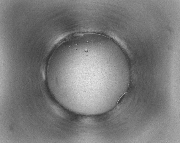 X0000115680062200911251801