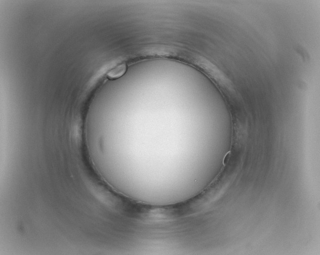 X0000115680064200911251801