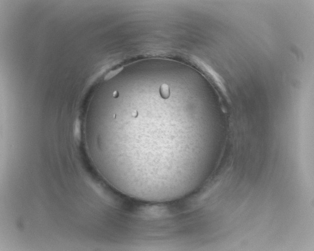 X0000115680067200911251801