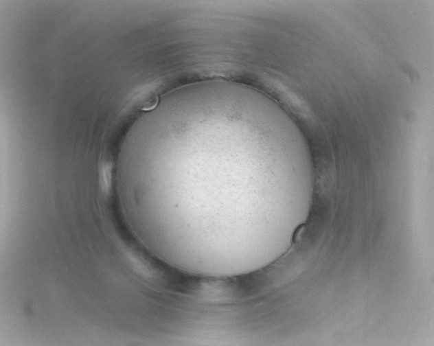 X0000115680070200911251801