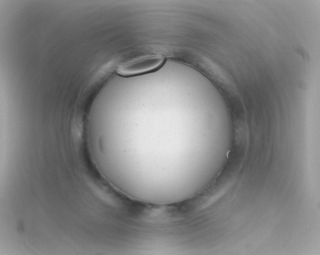 X0000115680072200911251801