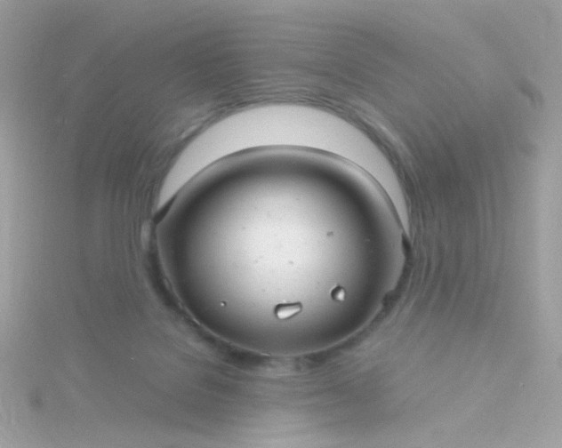 X0000115680076200911251801