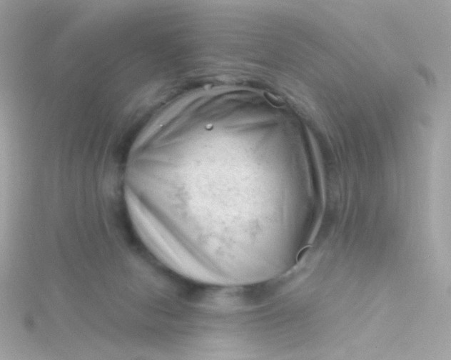 X0000115680078200911251801