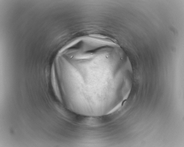 X0000115680082200911251801