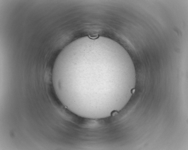 X0000115680083200911251801