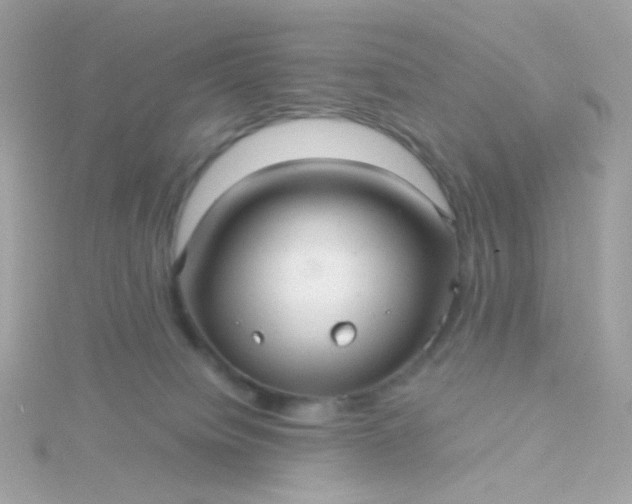 X0000115680084200911251801