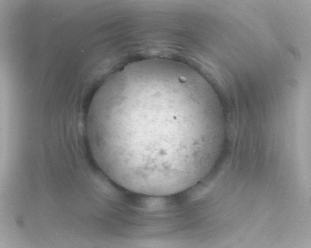 X0000115680085200911251801