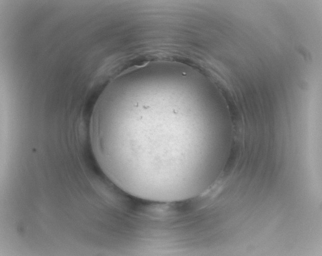 X0000115680086200911251801