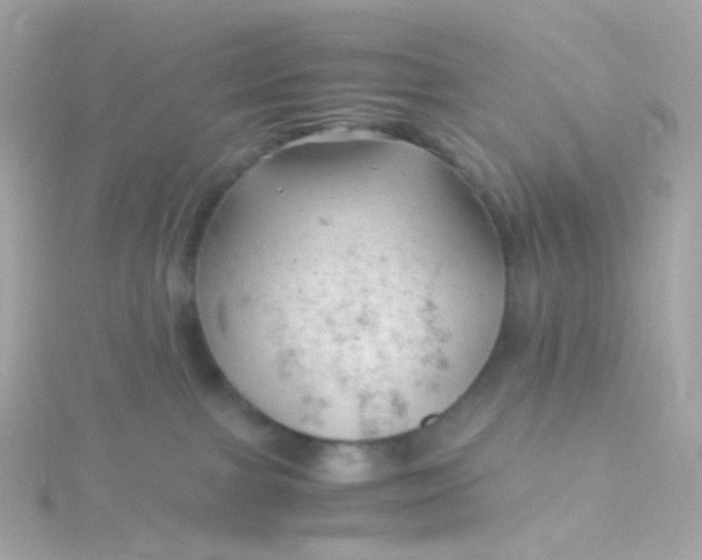 X0000115680091200911251801