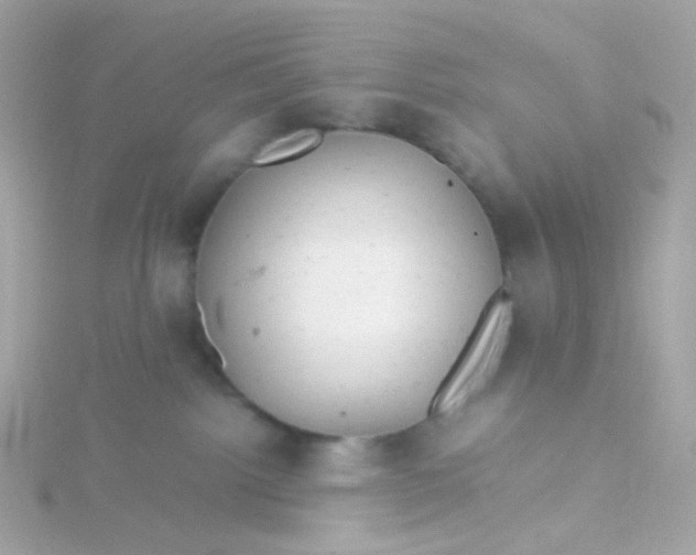 X0000115680092200911251801