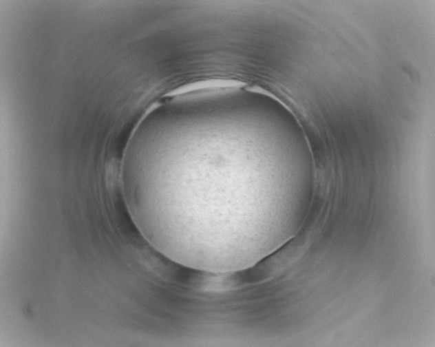 X0000115680093200911251801