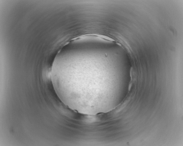 X0000115680095200911251801