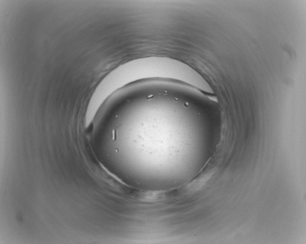 X0000115680096200911251801