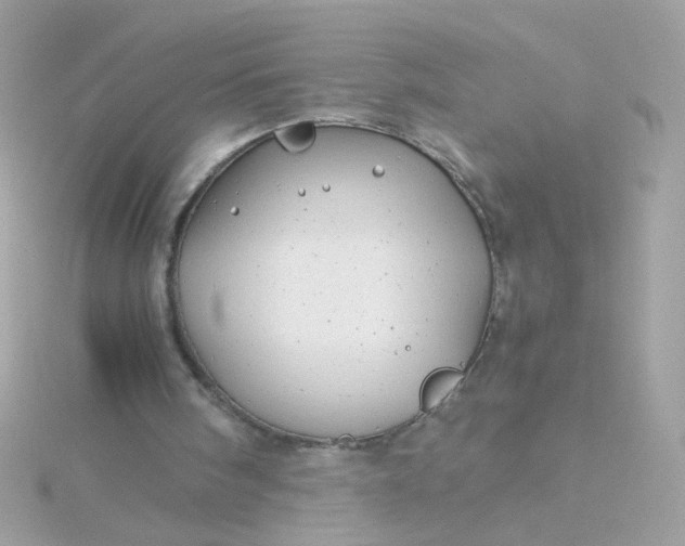 X0000115680098200911251800