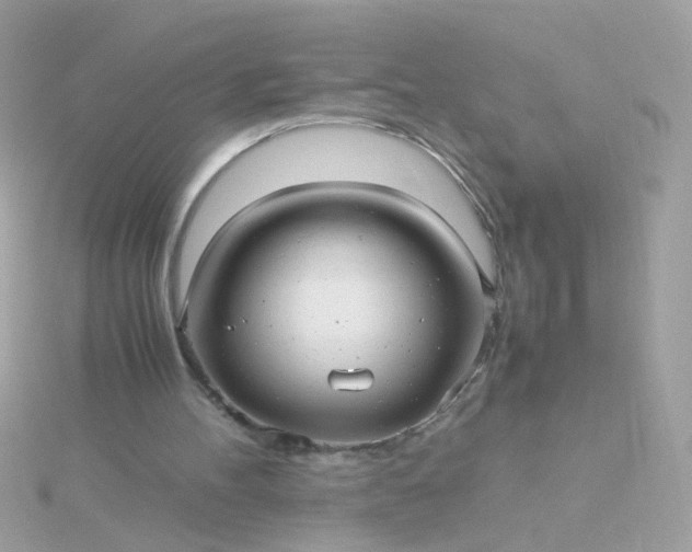 X0000115680100200911251800