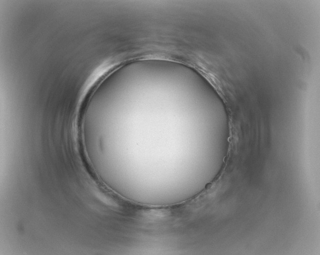 X0000115680102200911251800