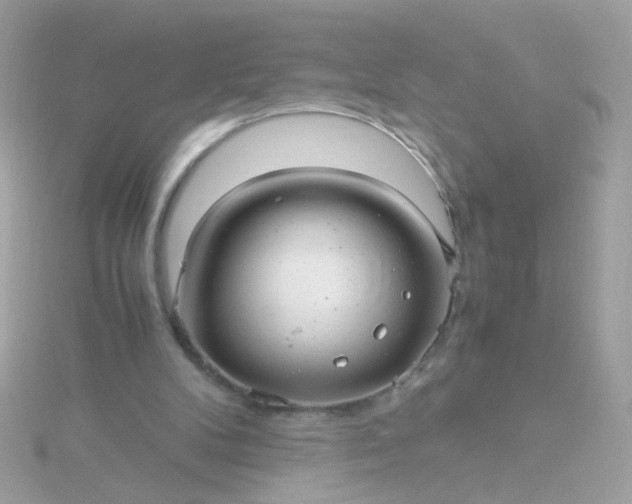 X0000115680104200911251800