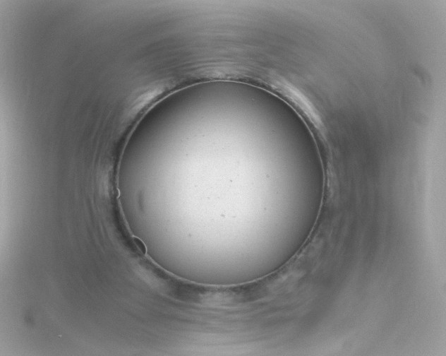 X0000115680105200911251800