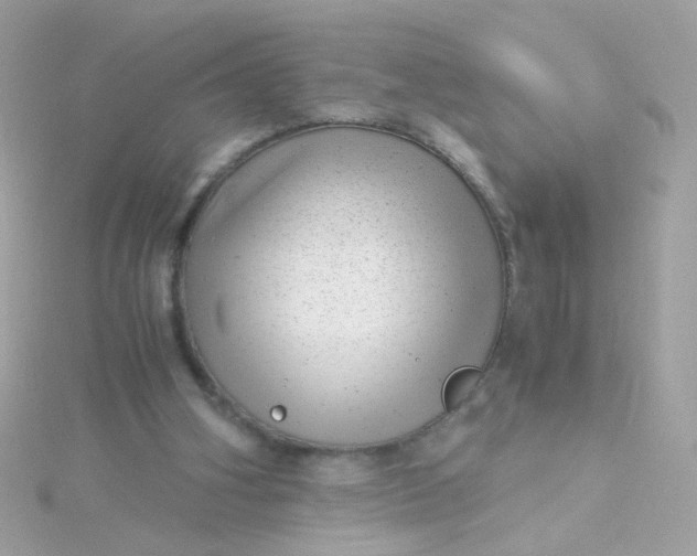 X0000115680106200911251800