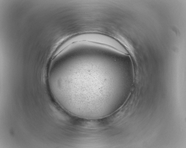 X0000115680107200911251800