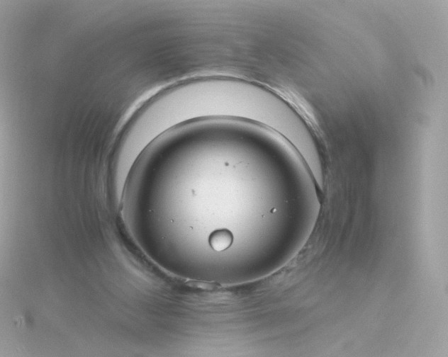 X0000115680108200911251800