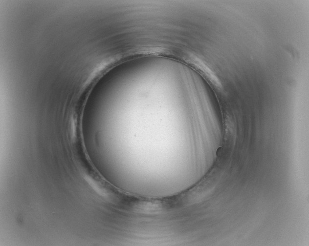 X0000115680110200911251800