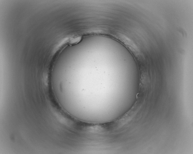 X0000115680112200911251800