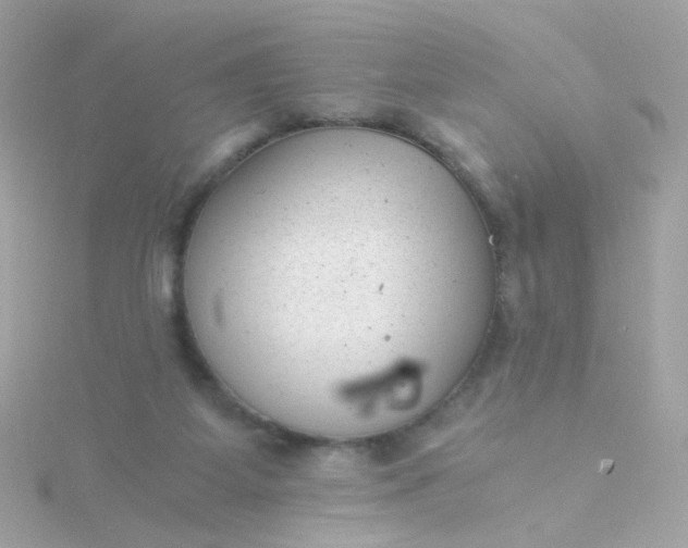 X0000115680115200911251800