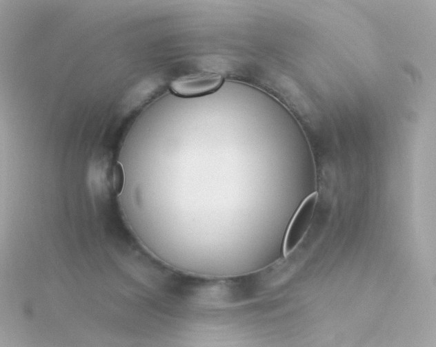 X0000115680116200911251800