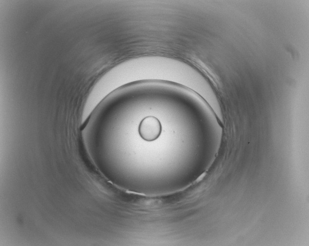 X0000115680117200911251800