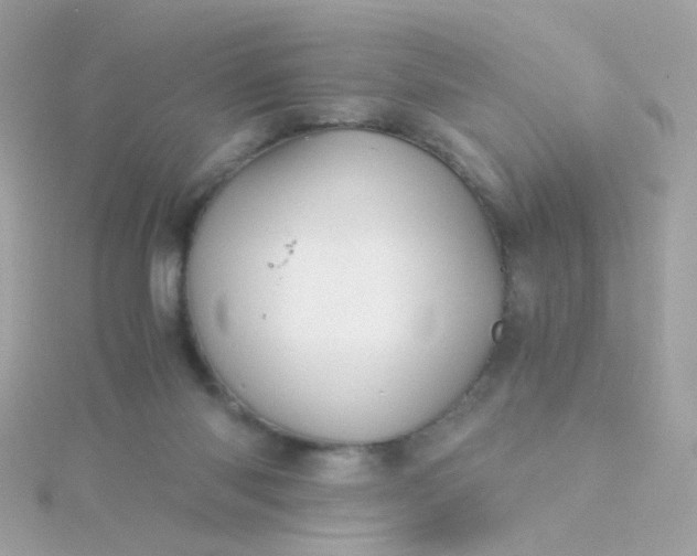 X0000115680118200911251800