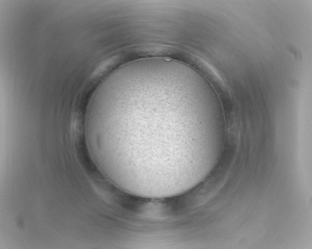 X0000115680119200911251800