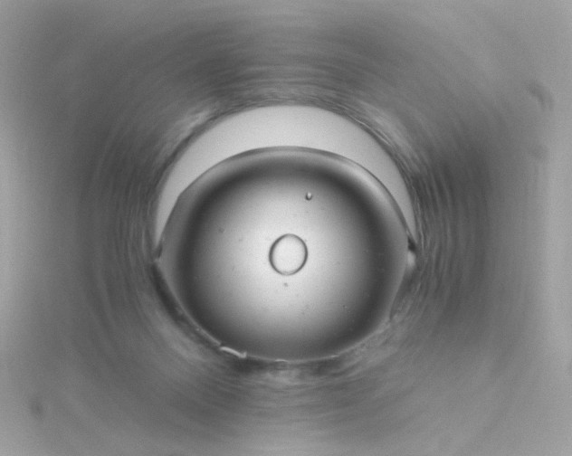 X0000115680120200911251800