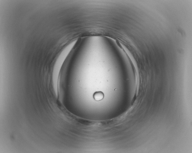 X0000115680124200911251800