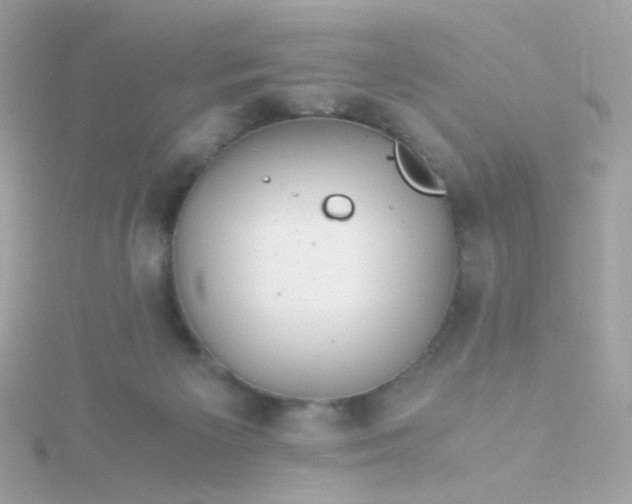 X0000115680125200911251800