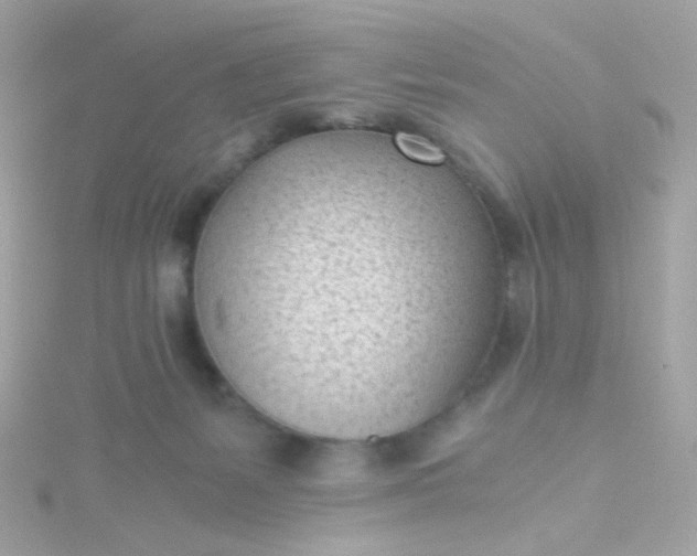 X0000115680127200911251800