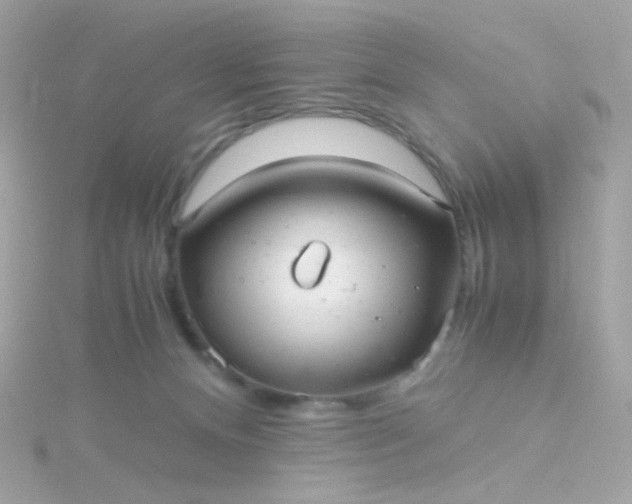 X0000115680128200911251800