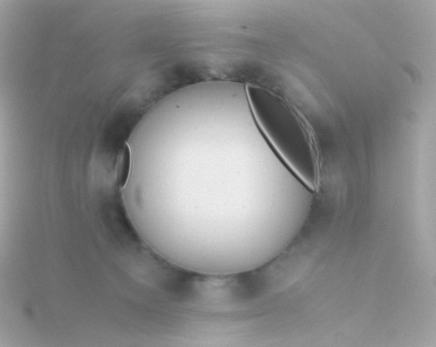 X0000115680129200911251800