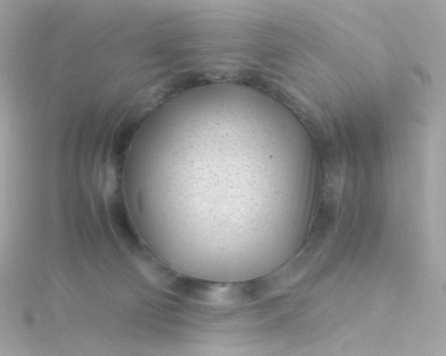 X0000115680130200911251800