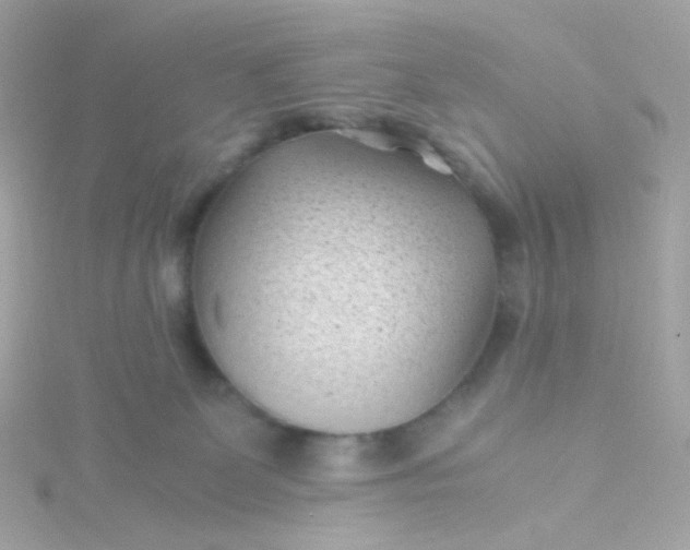 X0000115680131200911251800