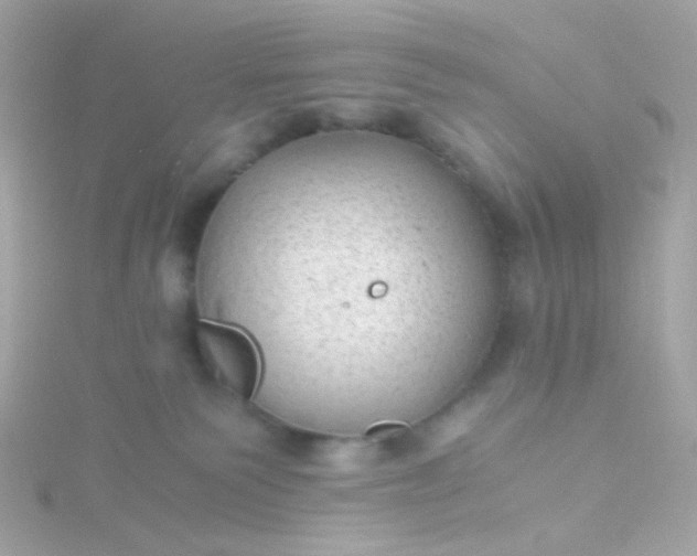 X0000115680135200911251800