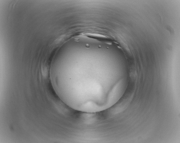 X0000115680139200911251800