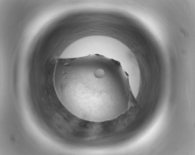 X0000115680143200911251800