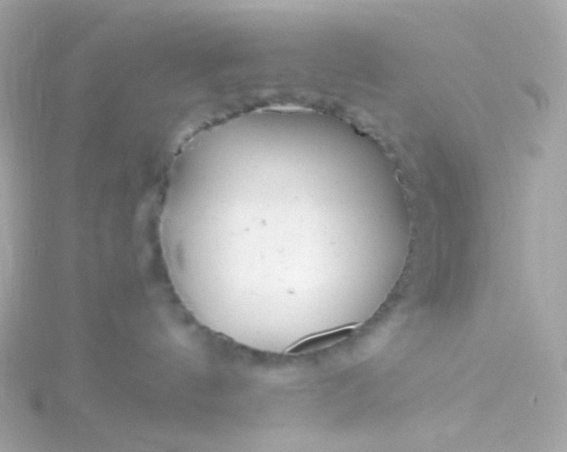 X0000115680144200911251800