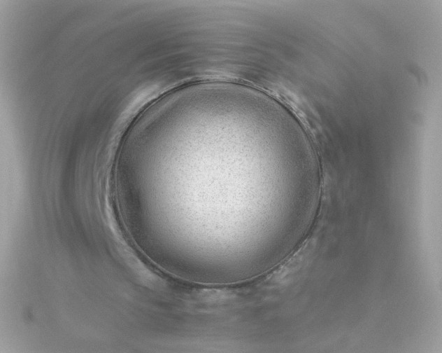 X0000115680145200911251759